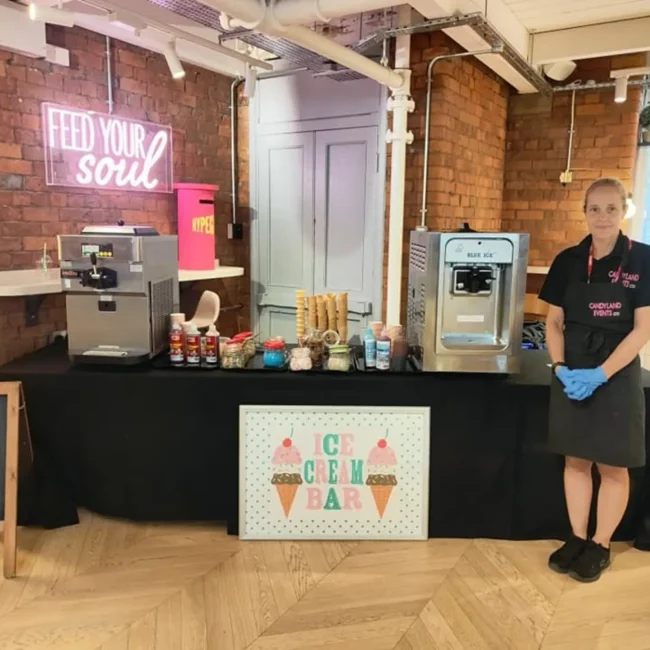 Mr Whippy Machine for Summer Party