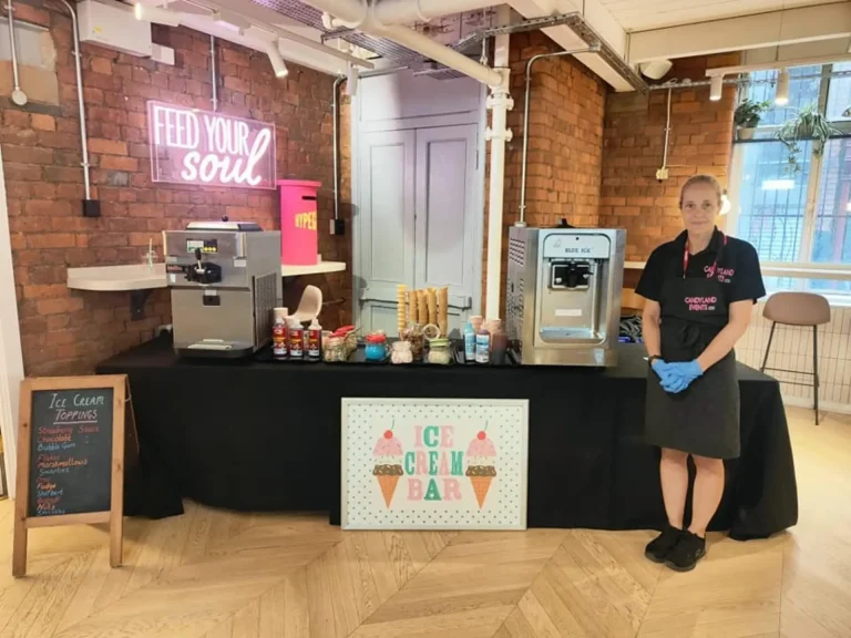 Mr Whippy Machine for Summer Party