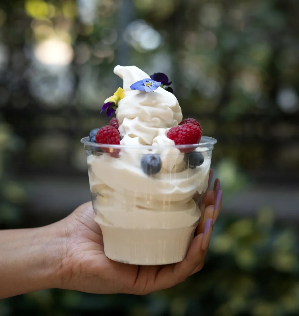 frozen yoghurt