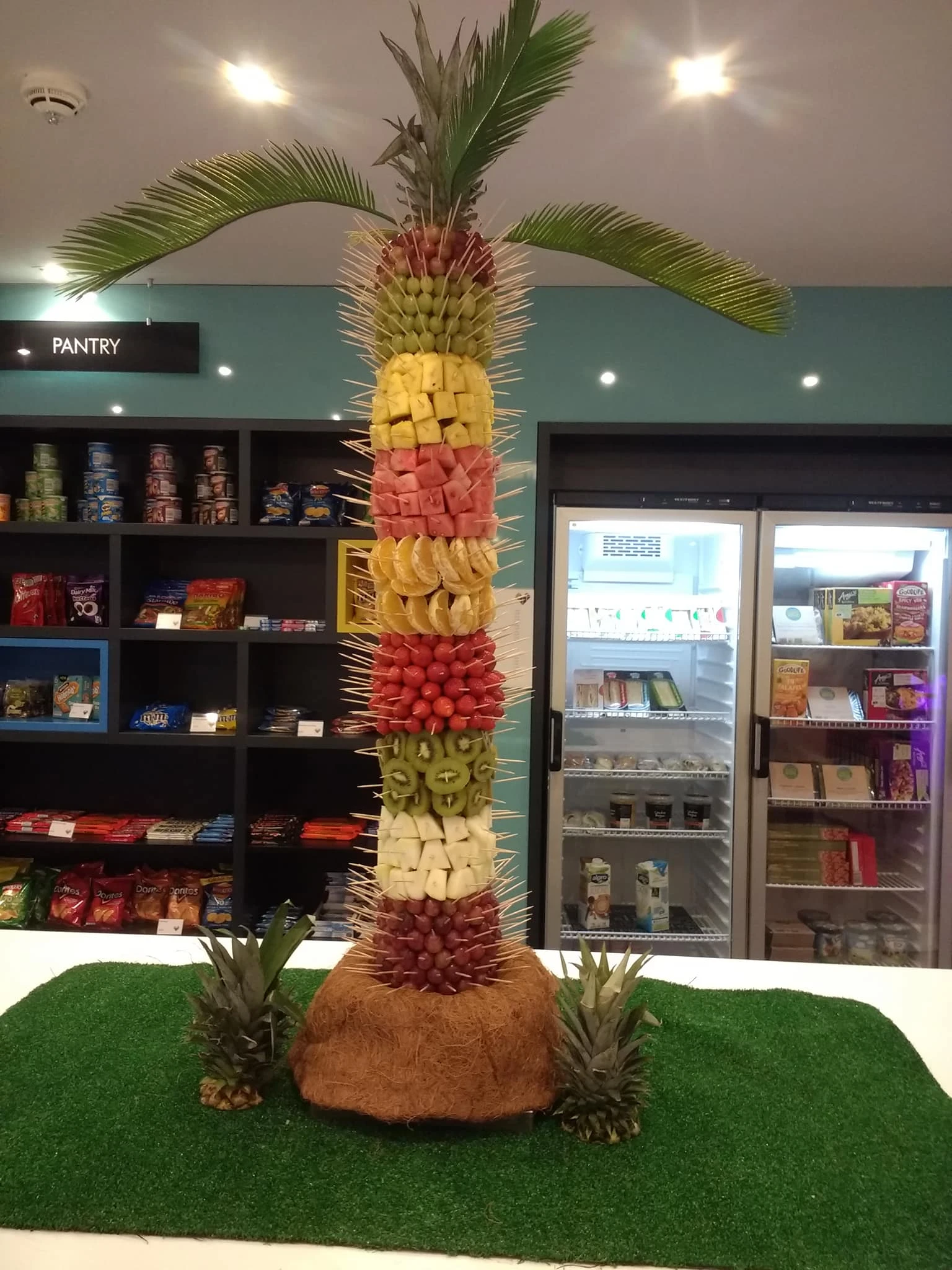 Fruit palm tree display